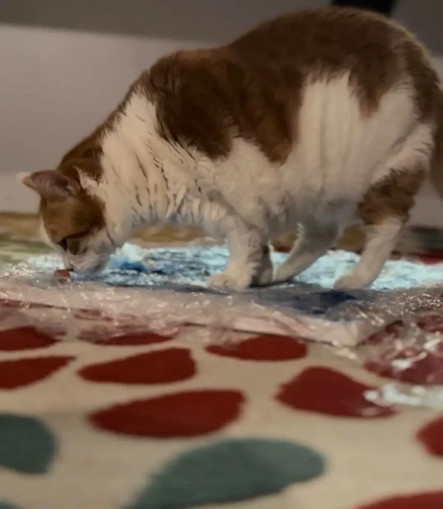 The Accidental Masterpiece of Barnaby the Cat
