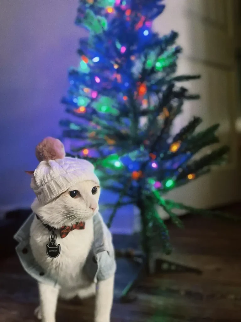 The Blue Christmas of Cowboy the Cat