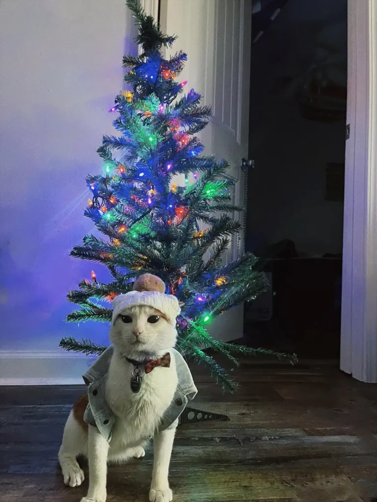 The Blue Christmas of Cowboy the Cat