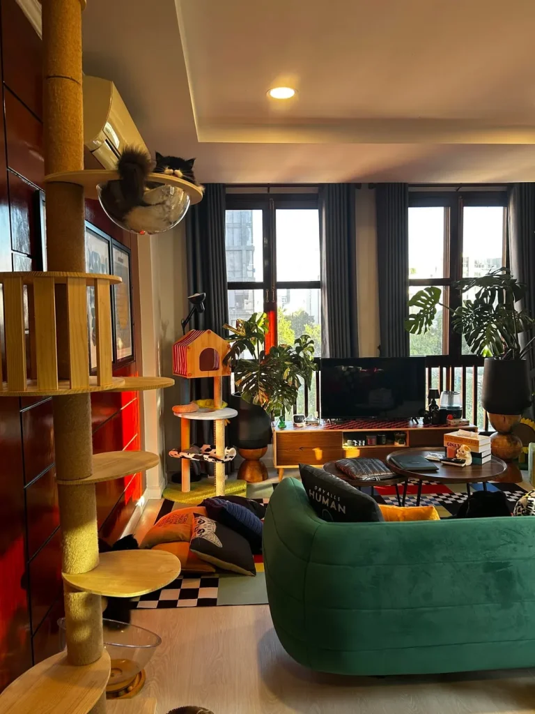 The Cat Council’s Secret Agenda, A Tale of Fur and Physics