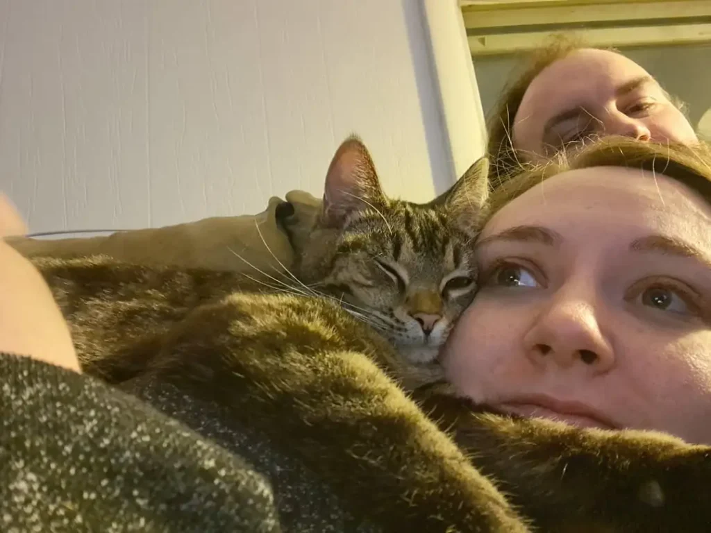 The Cat Identity Crisis, Ruthless Ruler or Professional Cuddler