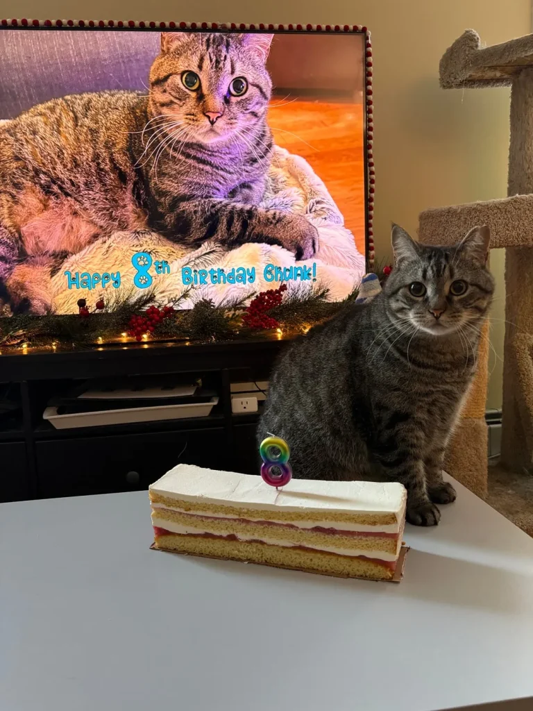 The Cat Who Met Himself, The Ballad of Chunk’s 8th Birthday