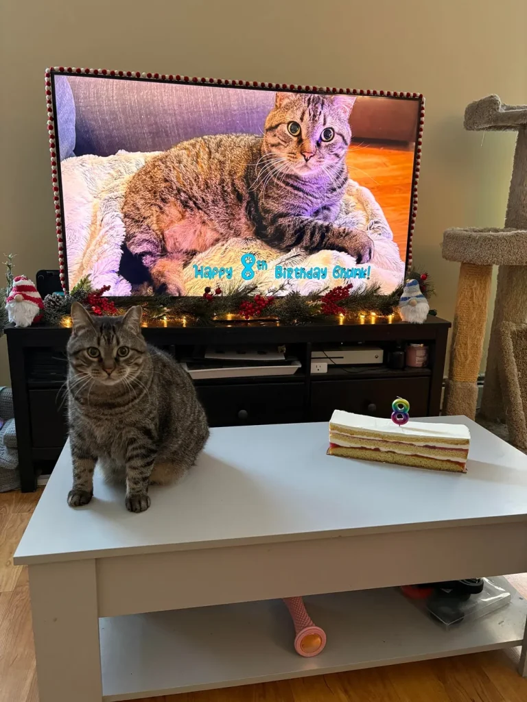The Cat Who Met Himself, The Ballad of Chunk’s 8th Birthday