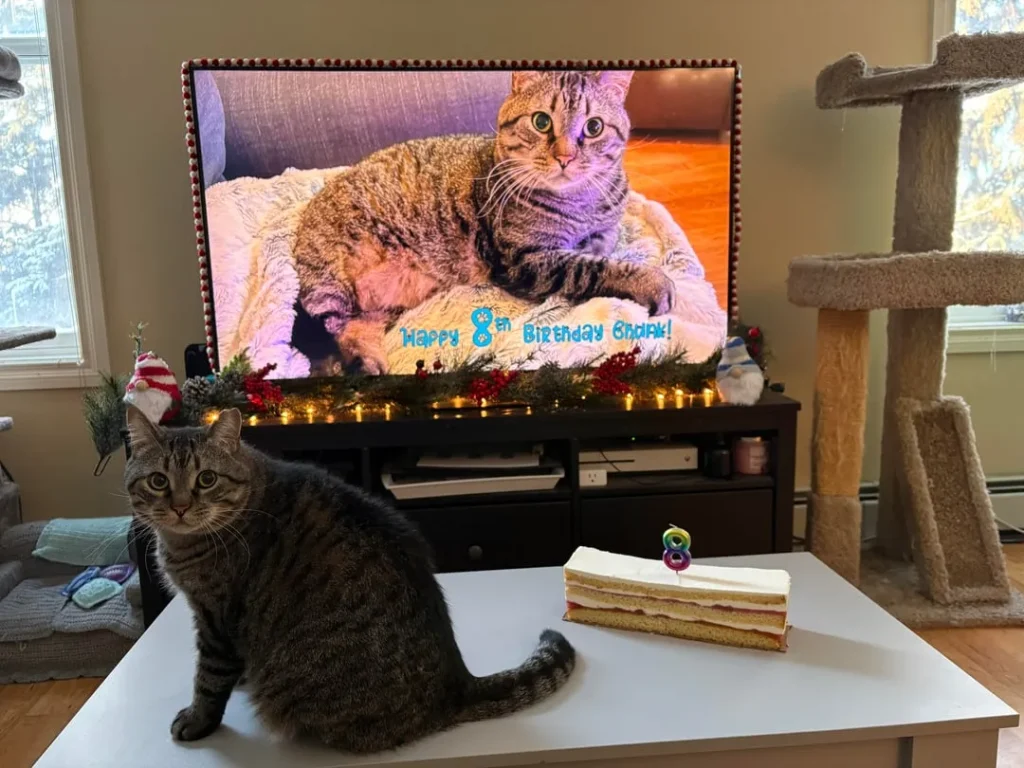 The Cat Who Met Himself, The Ballad of Chunk’s 8th Birthday