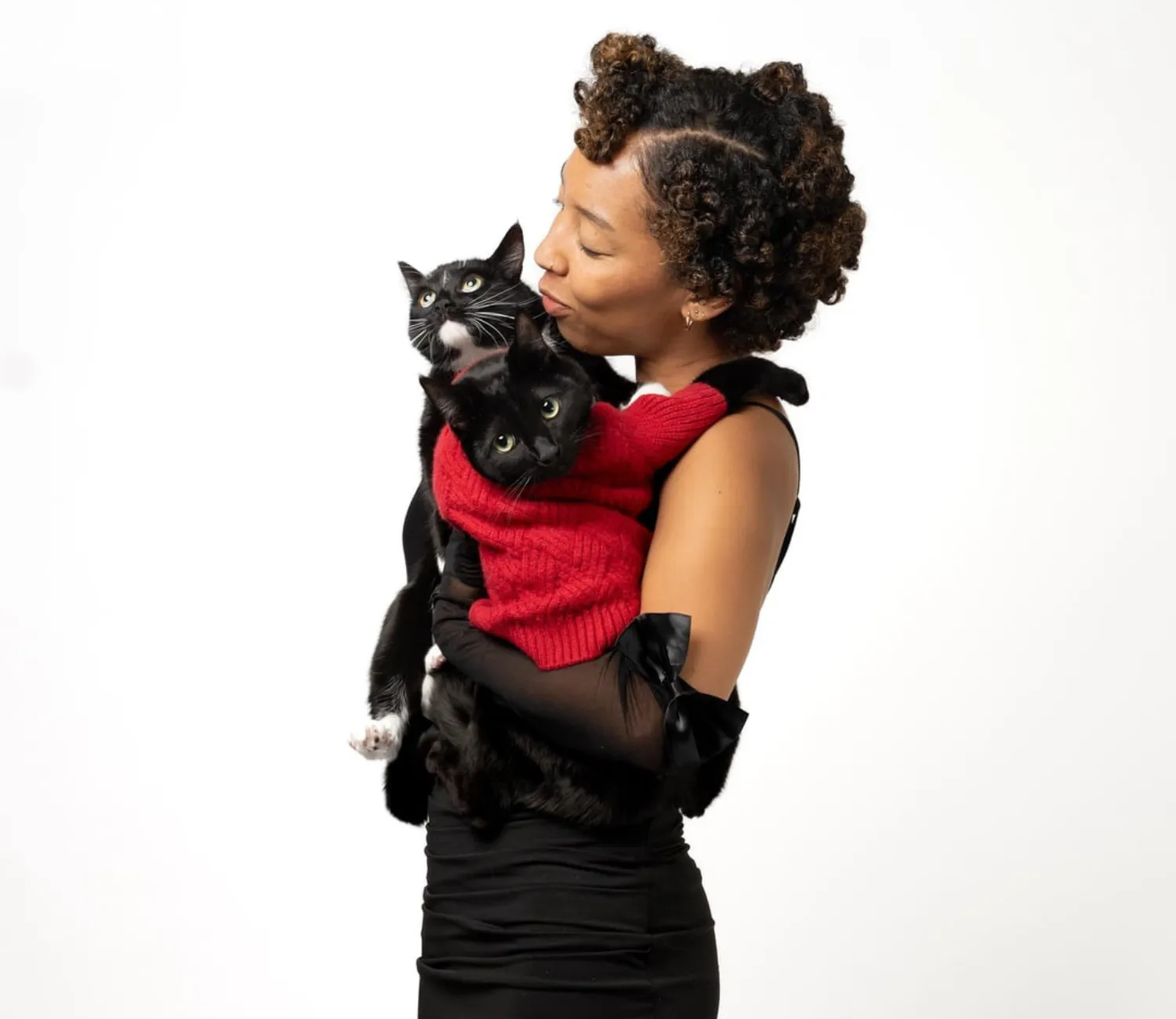 The Chaos and Cuddles of a Christmas Cat Card