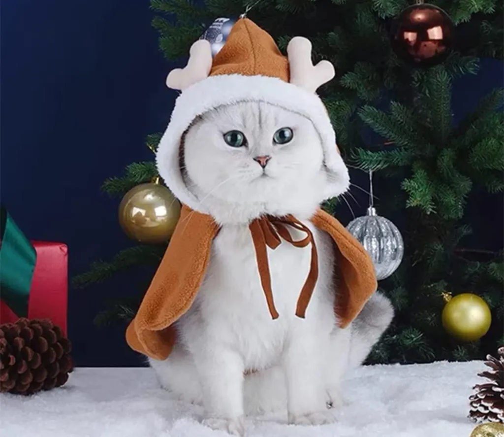 The Christmas Wish of the Reindeer Cat