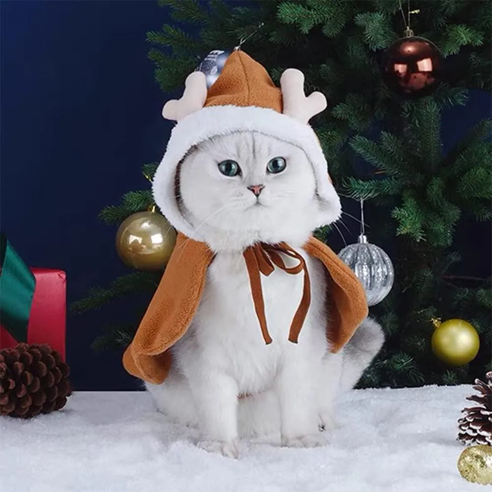 The Christmas Wish of the Reindeer Cat