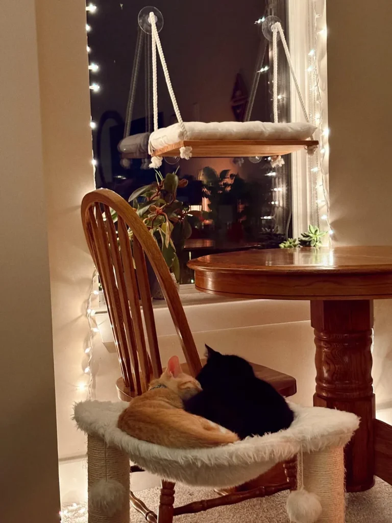 The Eclipse and the Ember