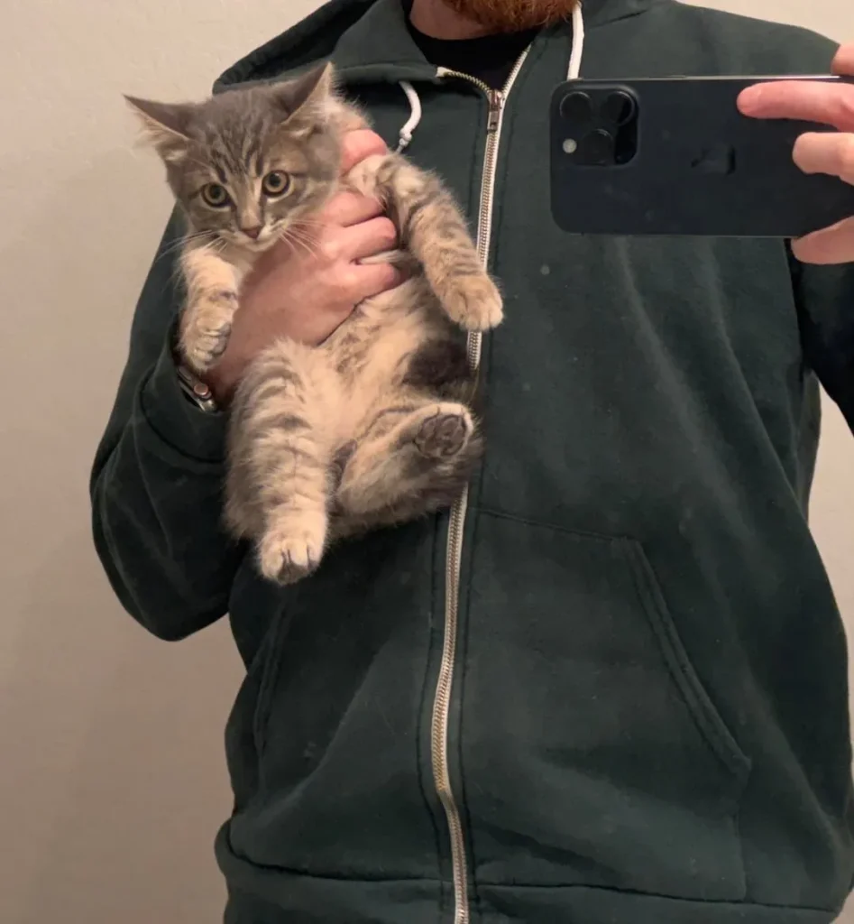 The Fellowship of the Cat, A Bathroom Saga