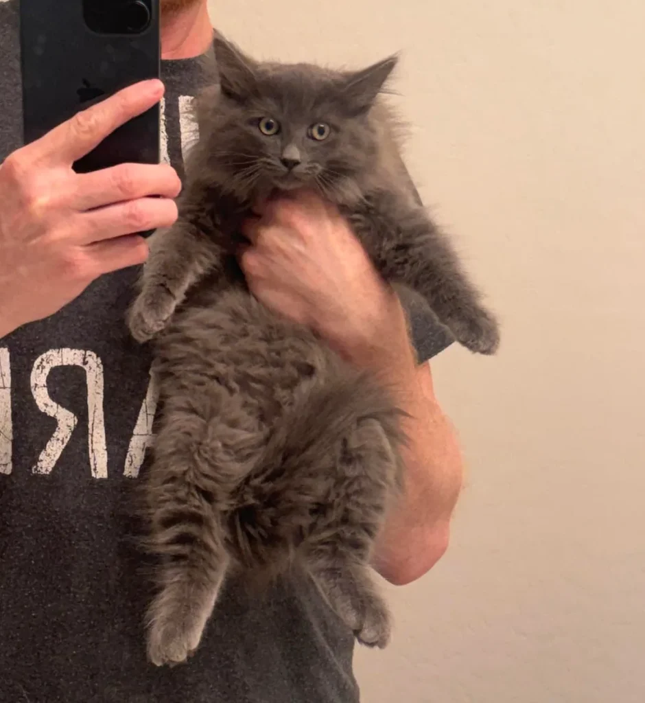 The Fellowship of the Cat, A Bathroom Saga