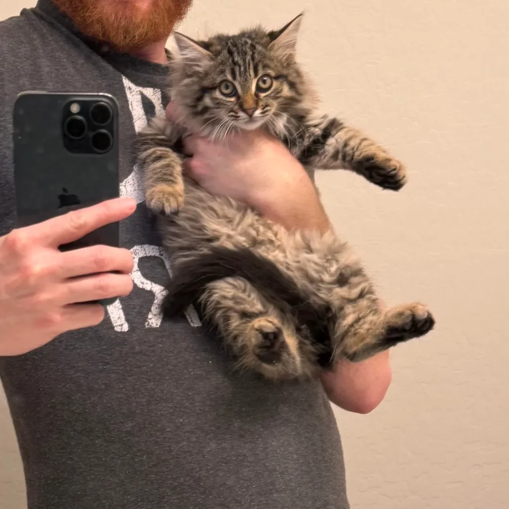 The Fellowship of the Cat, A Bathroom Saga