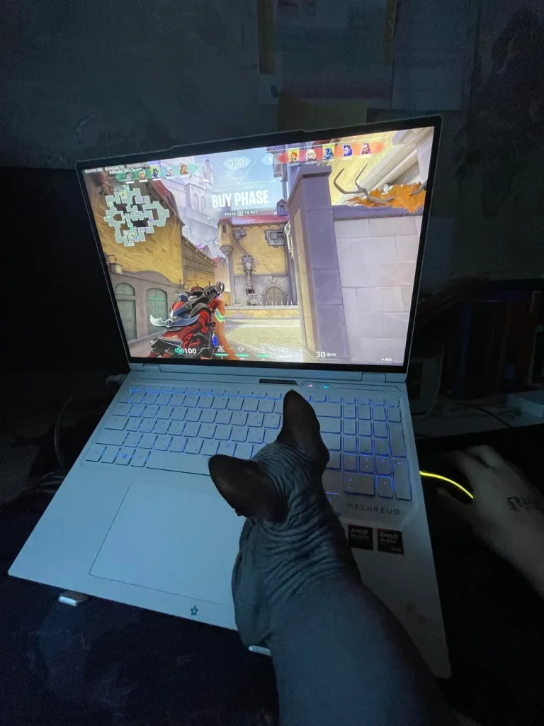 The Ranked Match Cat, A Strategic Intervention