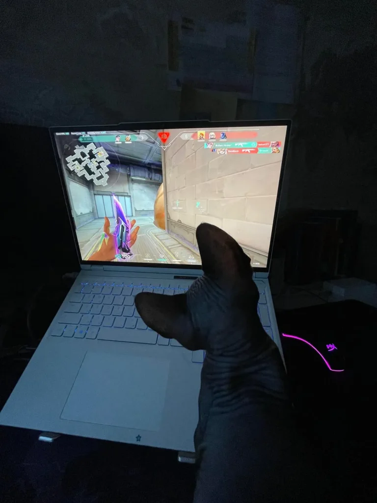 The Ranked Match Cat, A Strategic Intervention