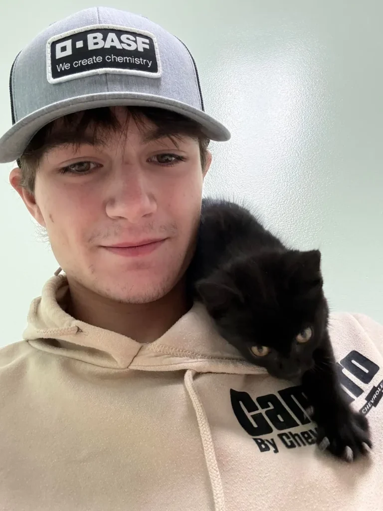 The Rise of the Shadow Cat