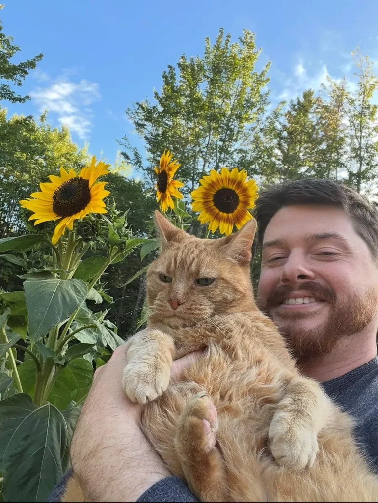 The Secret Seasons of the Sunflower Cat