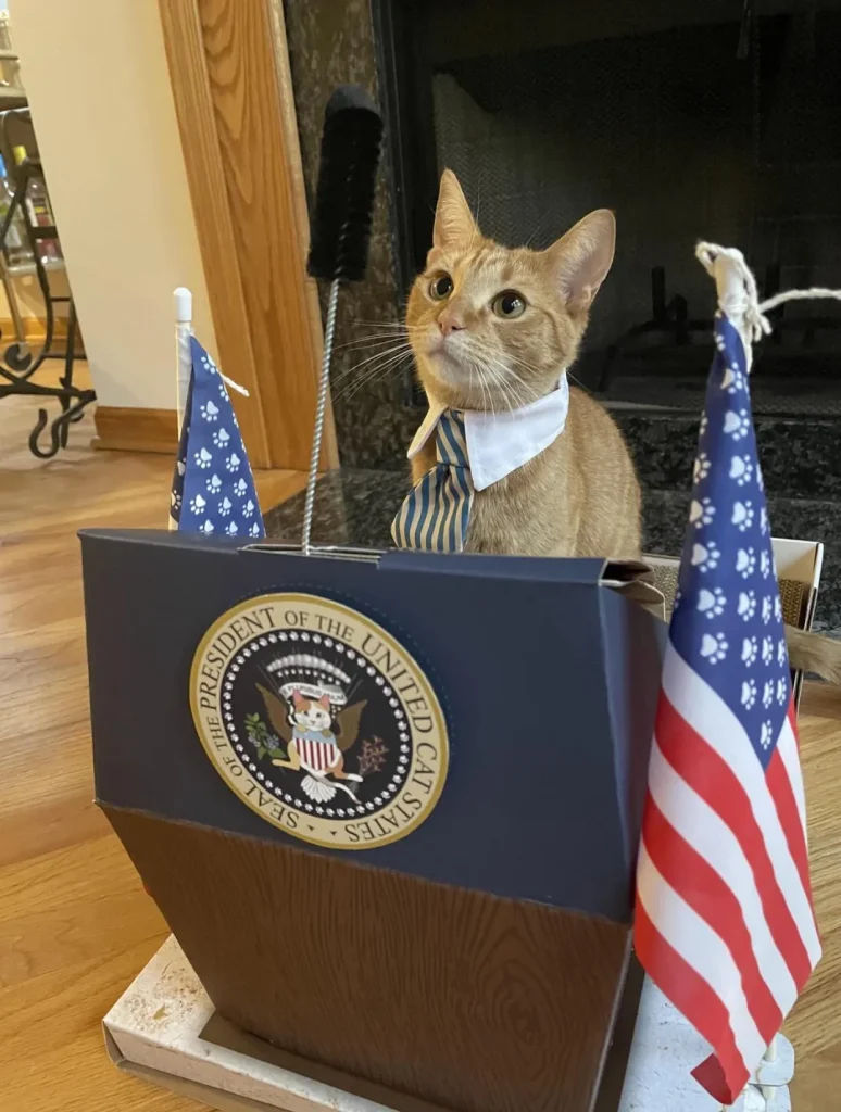 The State of the Union, Commander in Cat