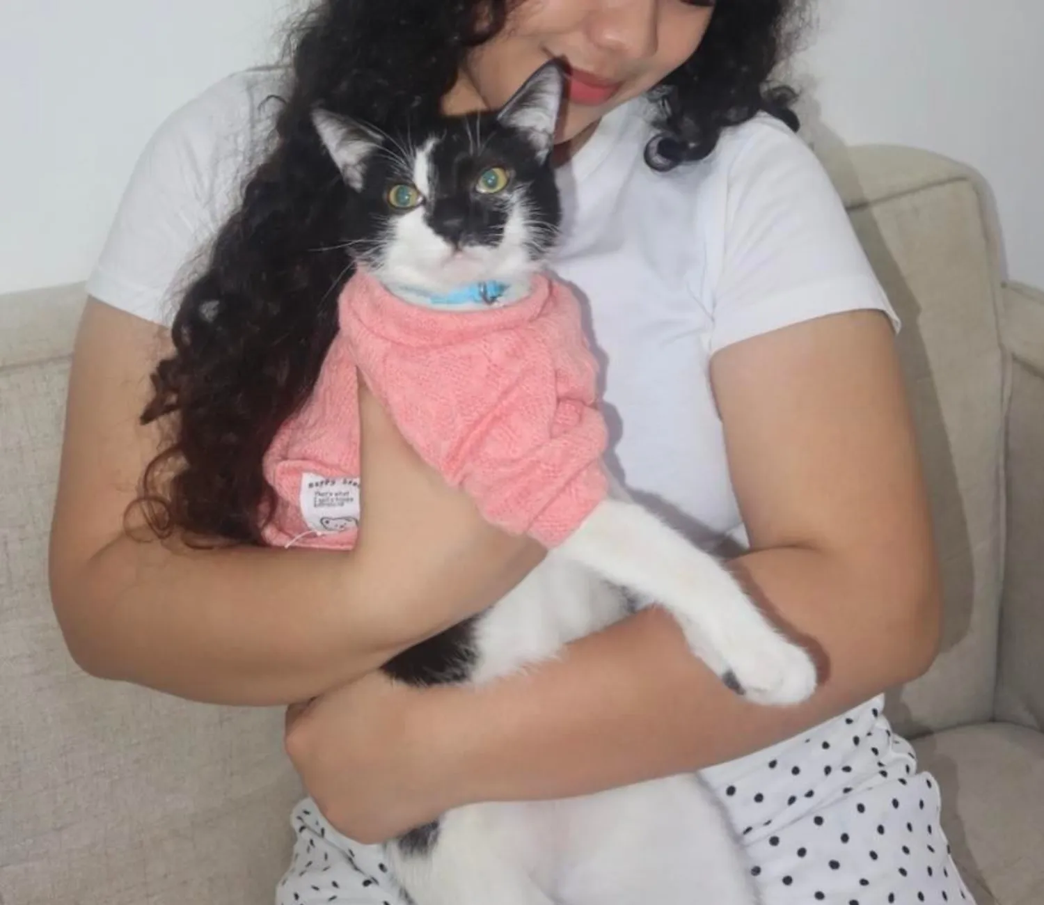 The Cat Chronicles, Whiskers, Warmth, and Whimsy