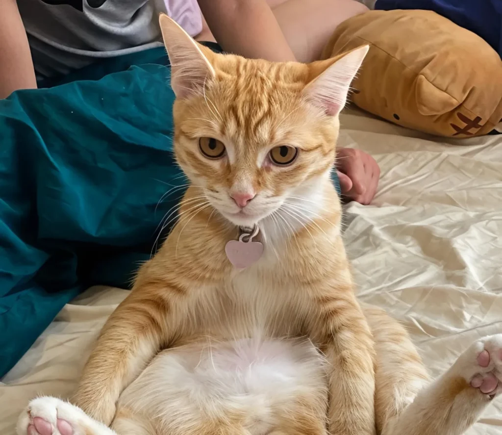 The Cat Who Forgot He Was a Cat