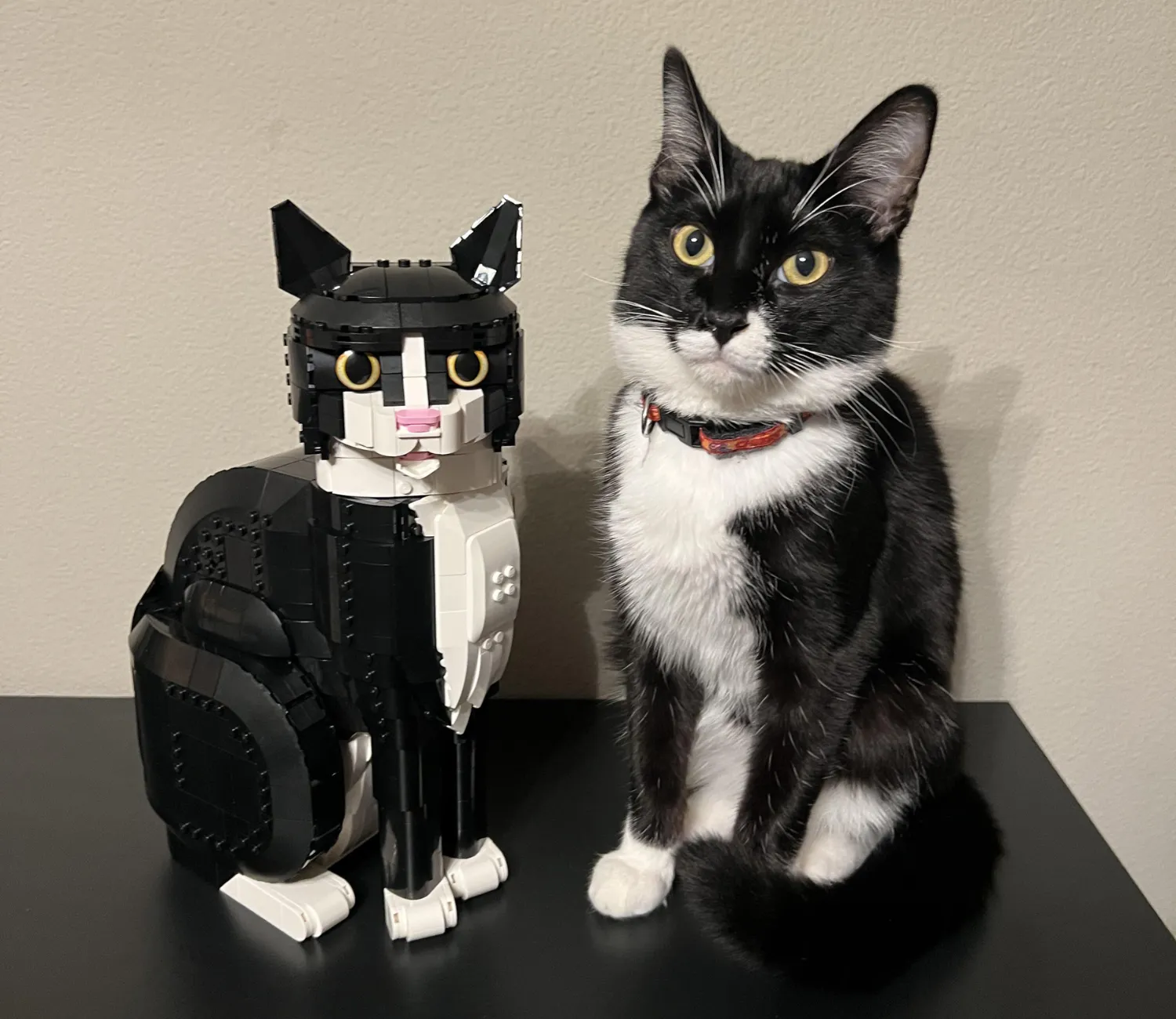 The Doppelgänger Cat, A Tale of Bricks and Whiskers