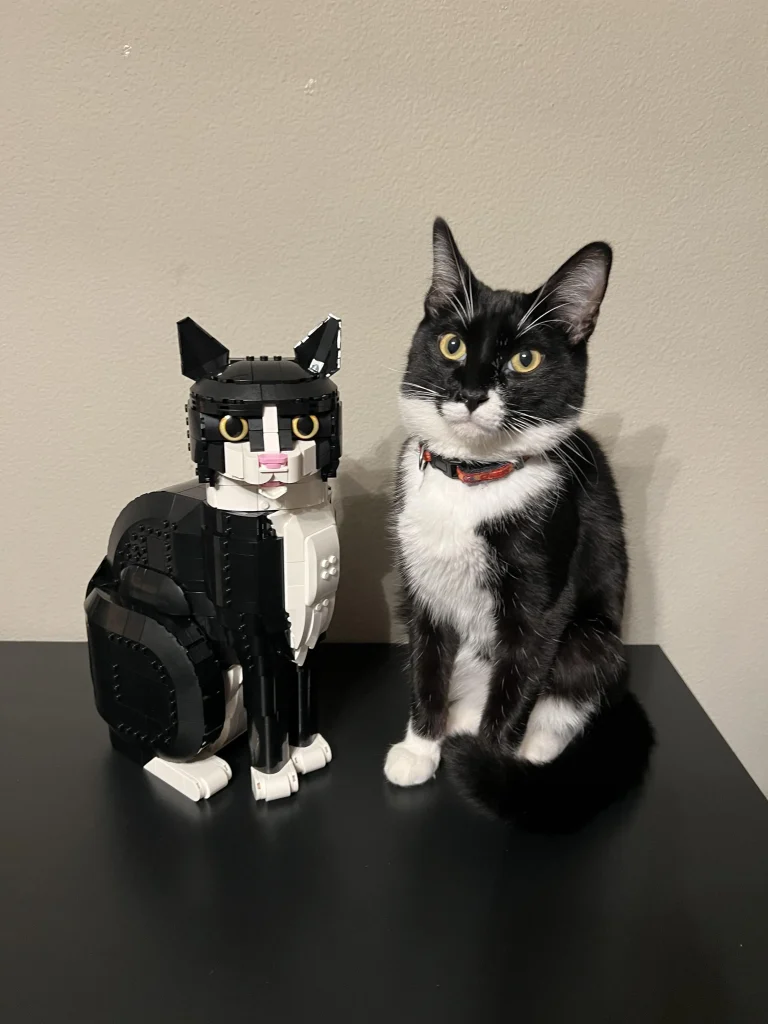 The Doppelgänger Cat, A Tale of Bricks and Whiskers