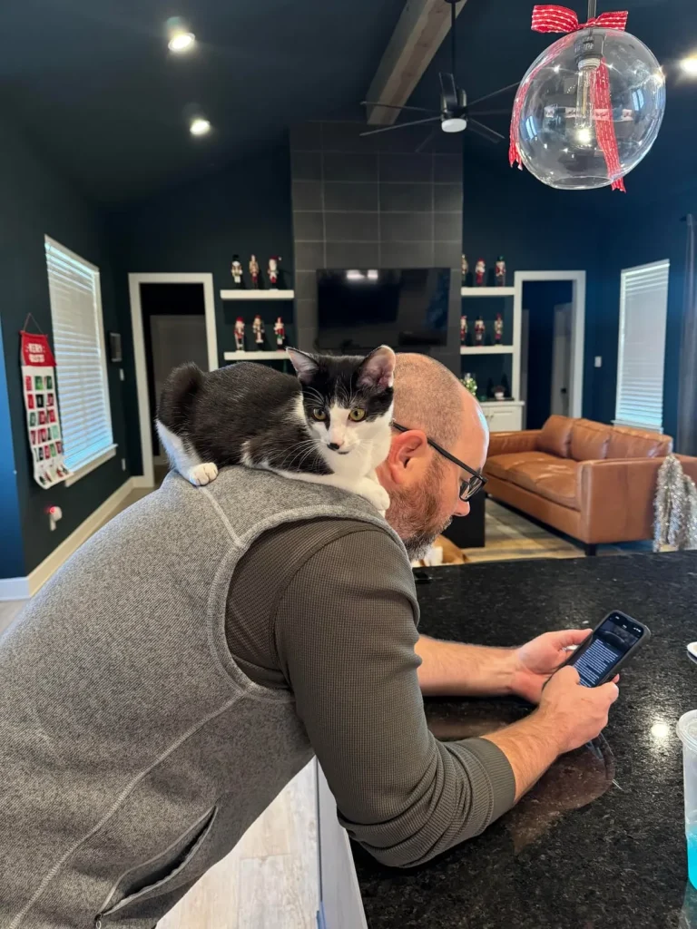 The Executive Routine of the CEO Cat