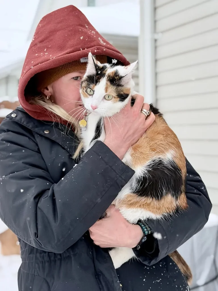 The Cat Chronicles, Cozy Whiskers and Curious Days