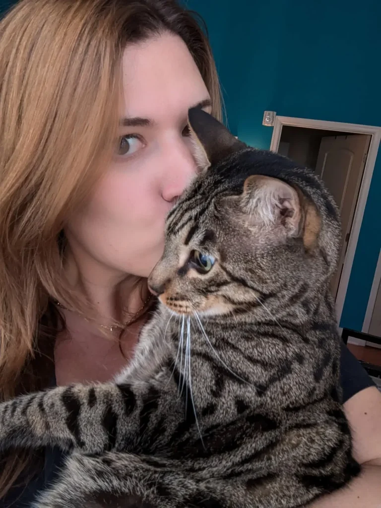 The Cat Chronicles, Whiskers, Wishes, and Window Gazes