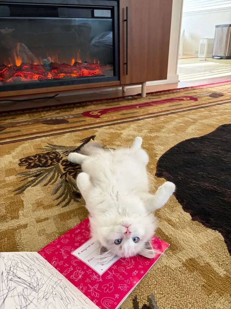 The Cat Who Read by Firelight