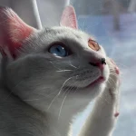 The Cat of Two Worlds